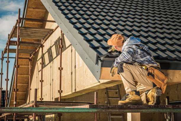 Best Roof Insulation Installation  in Wlow Springs, IL