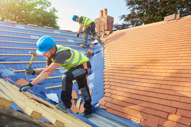 Best Gutter Installation and Repair  in Wlow Springs, IL